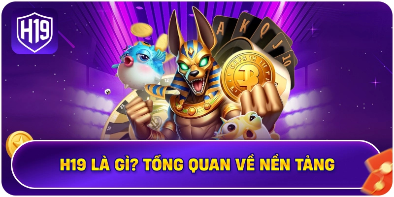 H19 là gì? Tổng quan về nền tảng